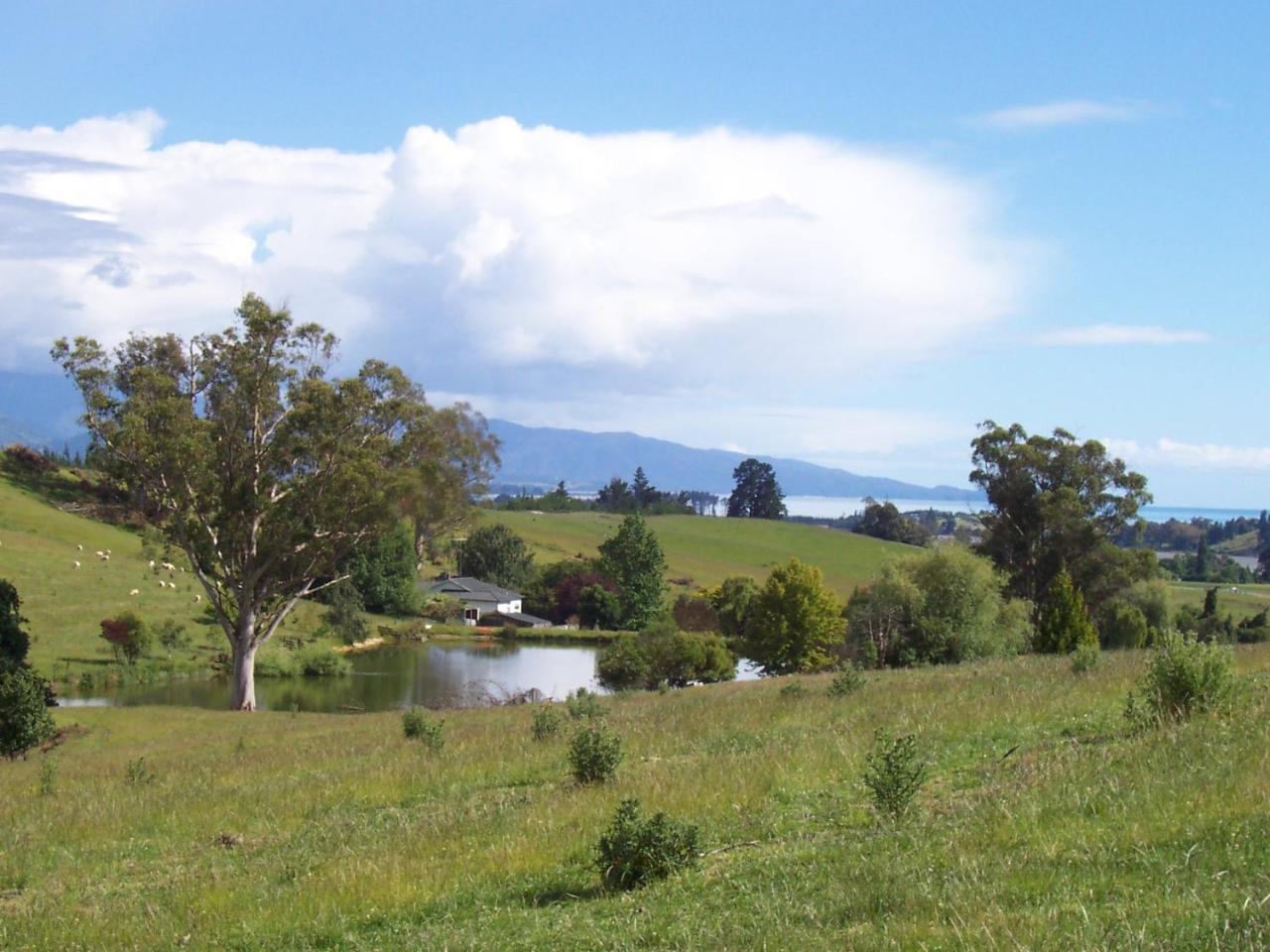 Tasman Farmstay Retreat Glenmhor Luaran gambar